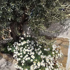 Le Gebbie Marzamemi