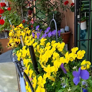 Casa Il Gelsomino Bologna